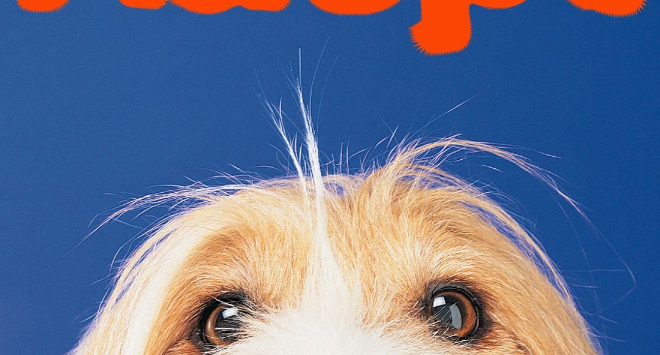 Projekt bez nazwy (1)