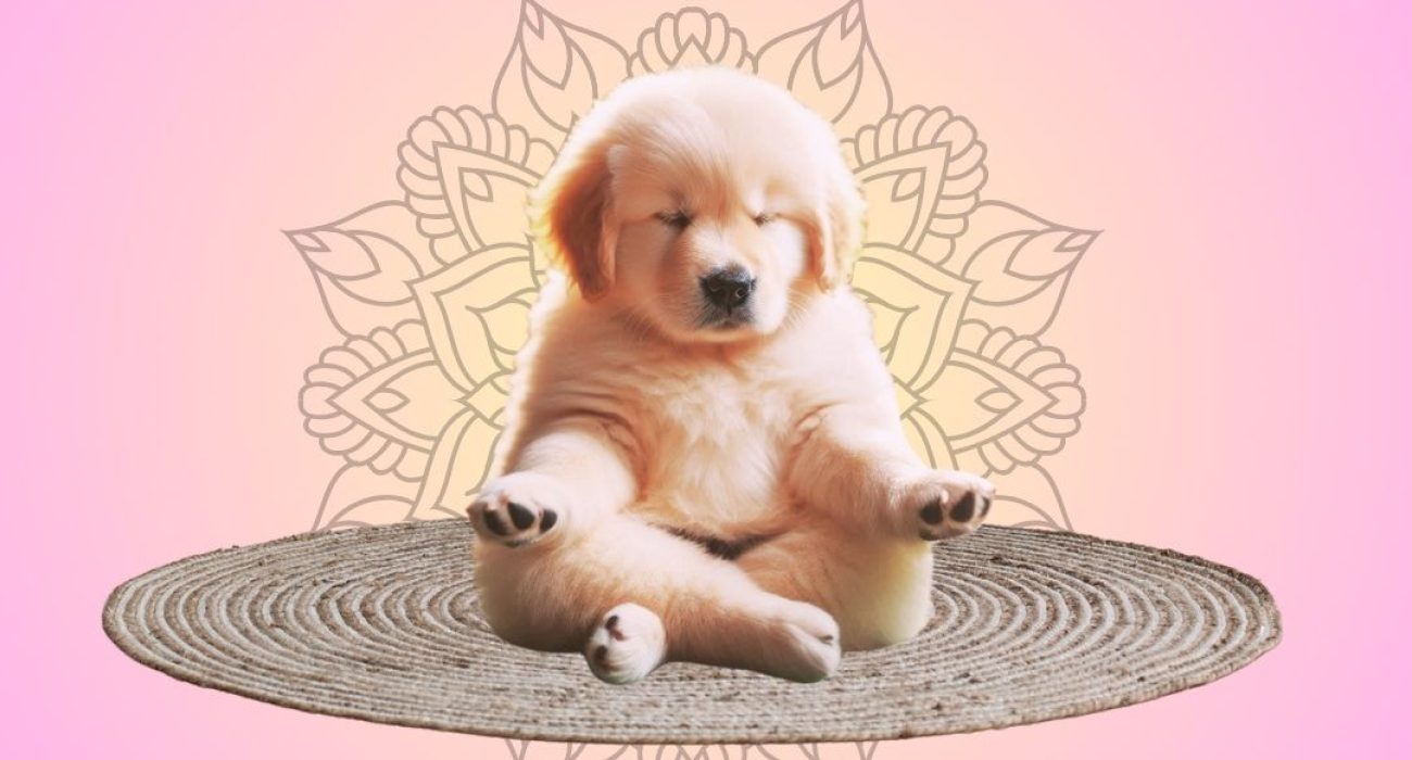 Projekt bez nazwy (1)