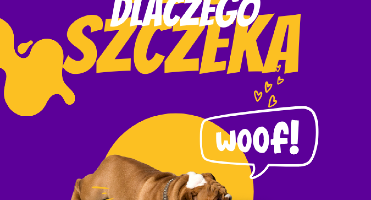 Projekt bez nazwy (1)